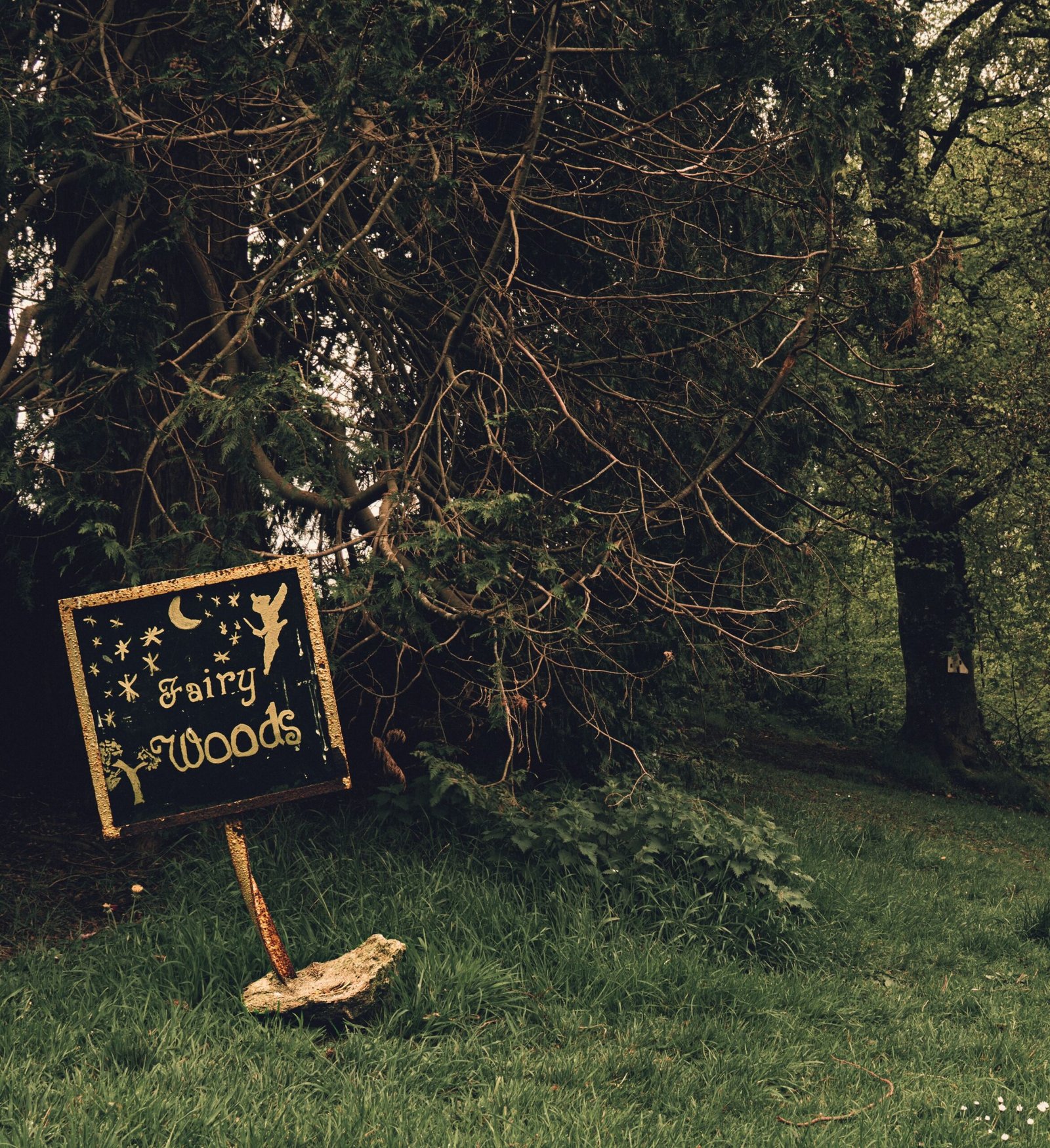 Workshop for Young Children – Fairy Trees in Celtic Ireland